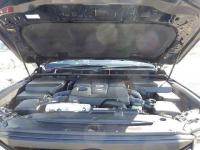 TOYOTA LAND CRUISER 2024